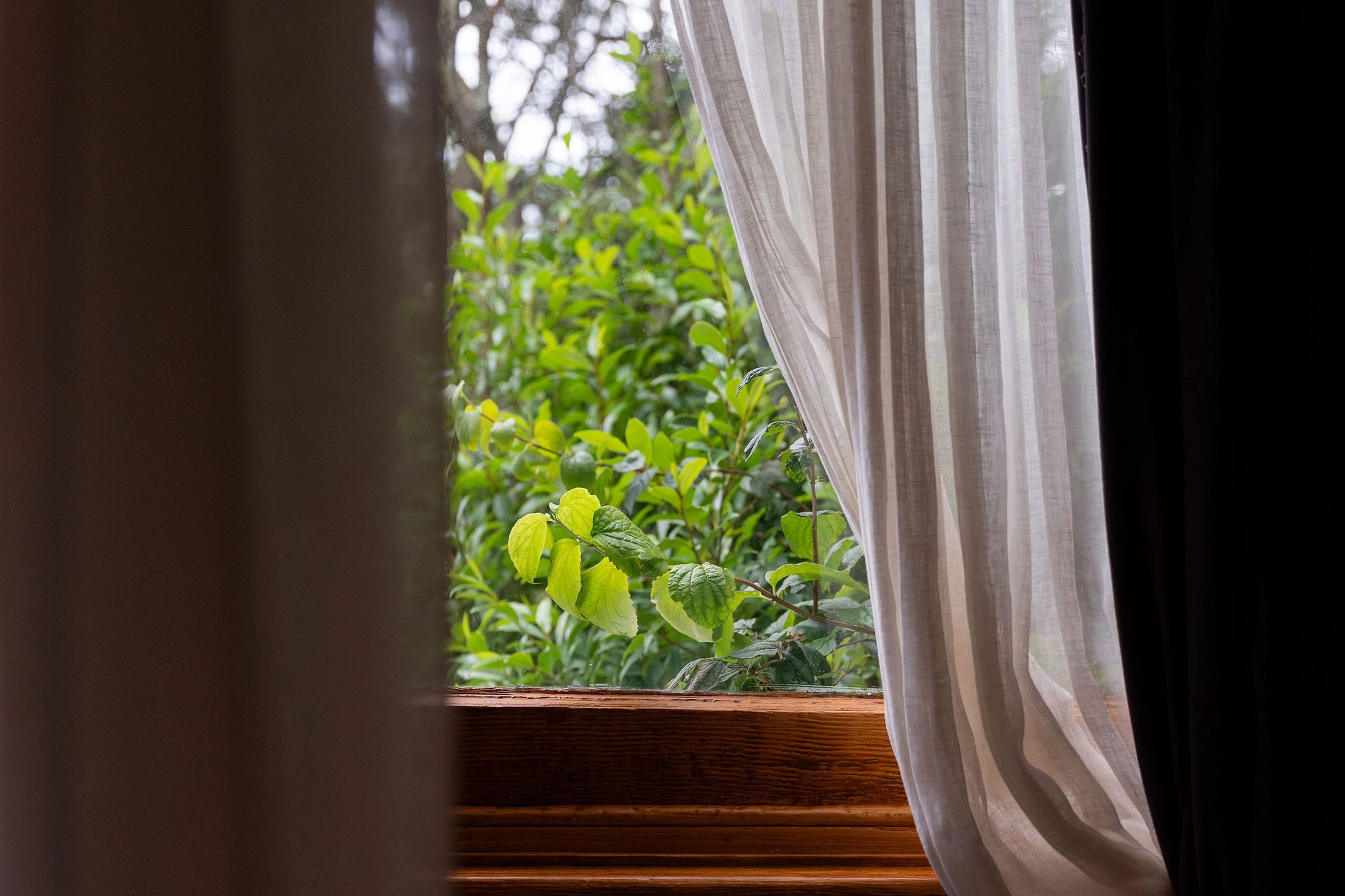 Honeysuckle room at Kurrara Historic Guest House